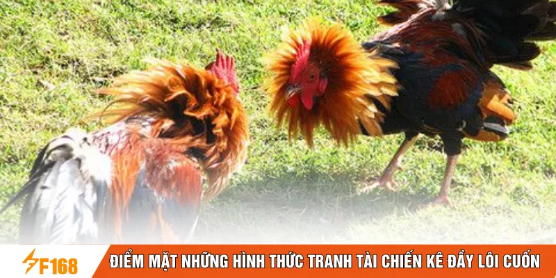 Điểm mặt những hình thức tranh tài chiến kê đầy lôi cuốn